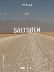 Saltsøen_2