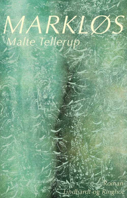 Årets litterære talent: Malte Tellerup