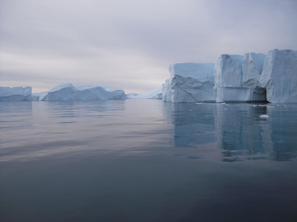 Den arktiske krimi hitter: Der er fyldt med mordere i polarmørket